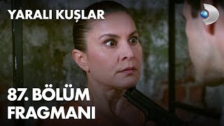 Yaralı Kuşlar 87. Bölüm Fragmanı