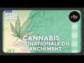 Cannabis La Multinationale Du Blanchiment Intégrale Cash Investigation Cannabis La Multinationale Du Blanchiment Intégrale Cash Investigation