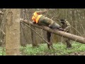K9 Tactical Canine Training K9 Tactical Canine Training