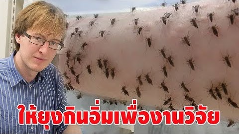 นักวิทยาศาสตร์ยอมลงทุนให้ยุงนับพันตัว กัดแขนตัวเอง เพื่อผลการวิจัยทางวิทยาศาสตร์