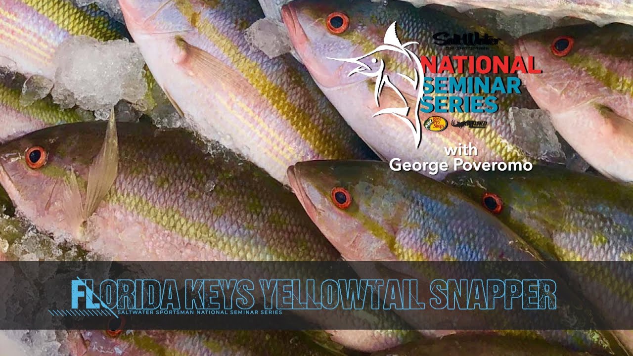 How to Fish for Yellowtail Snapper in the Florida Keys - Florida