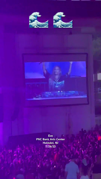 Eve’s set at the Nelly Tour in NJ #eve #nelly #dance #shorts #2000s #nj #mytype #live #tour #show