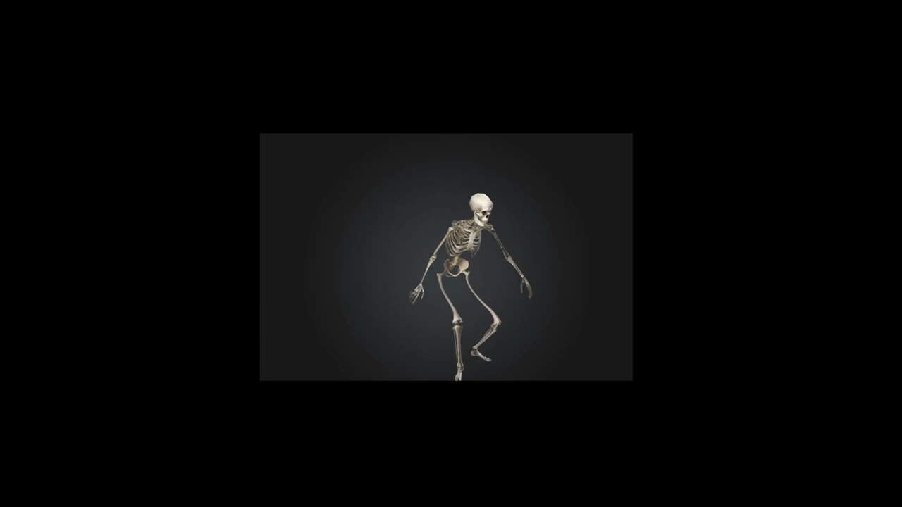 Skeleton character animated game ready asset