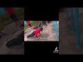 Regular exercise routine #calisthenics #exercise #workout