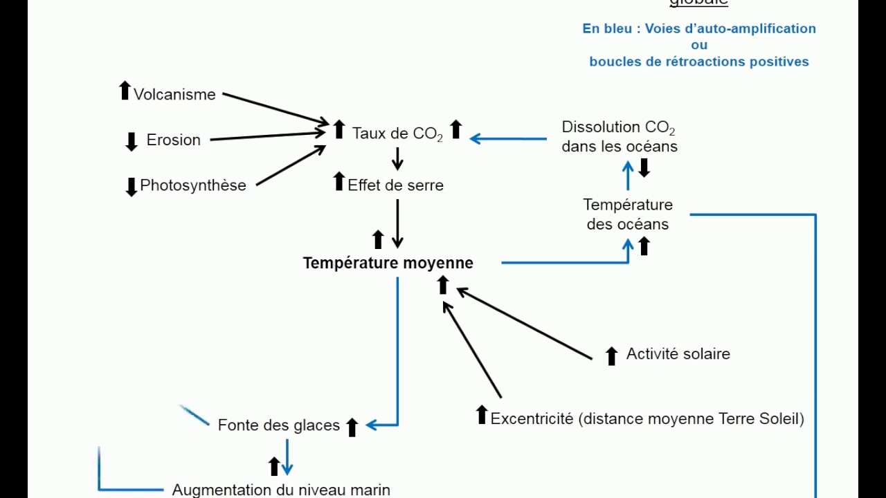 Bac SVT Mécanismes du contrôle de la température globale YouTube
