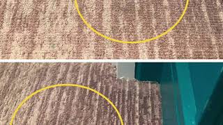 Multi Color Carpet Dyeing @ Hotel by DyeBold Carpet Dyeing screenshot 1