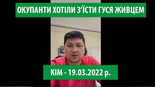 Звернення Віталія Кіма! Миколаїв. 19 березня. Про підлість окупантів. рятувальну операцію та гуся