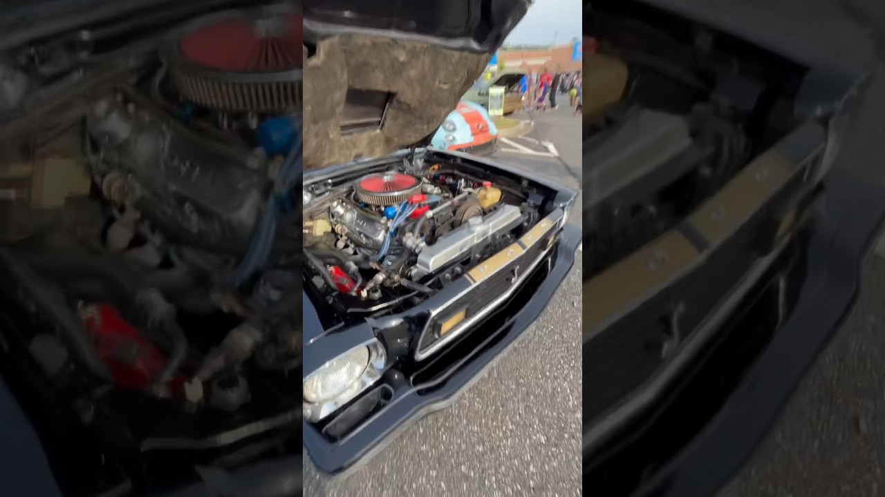 I saw a modified Ford Shelby cobra at a Hot Wheels event 