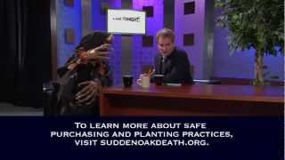 Interview with Sudden Oak Death Pathogen