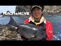 PEACE THE MOVIE #50「夢のデカ尾長に挑戦!情熱の塊。」四国地方 高知県・沖ノ島の旅(前編)/平和卓也(844)