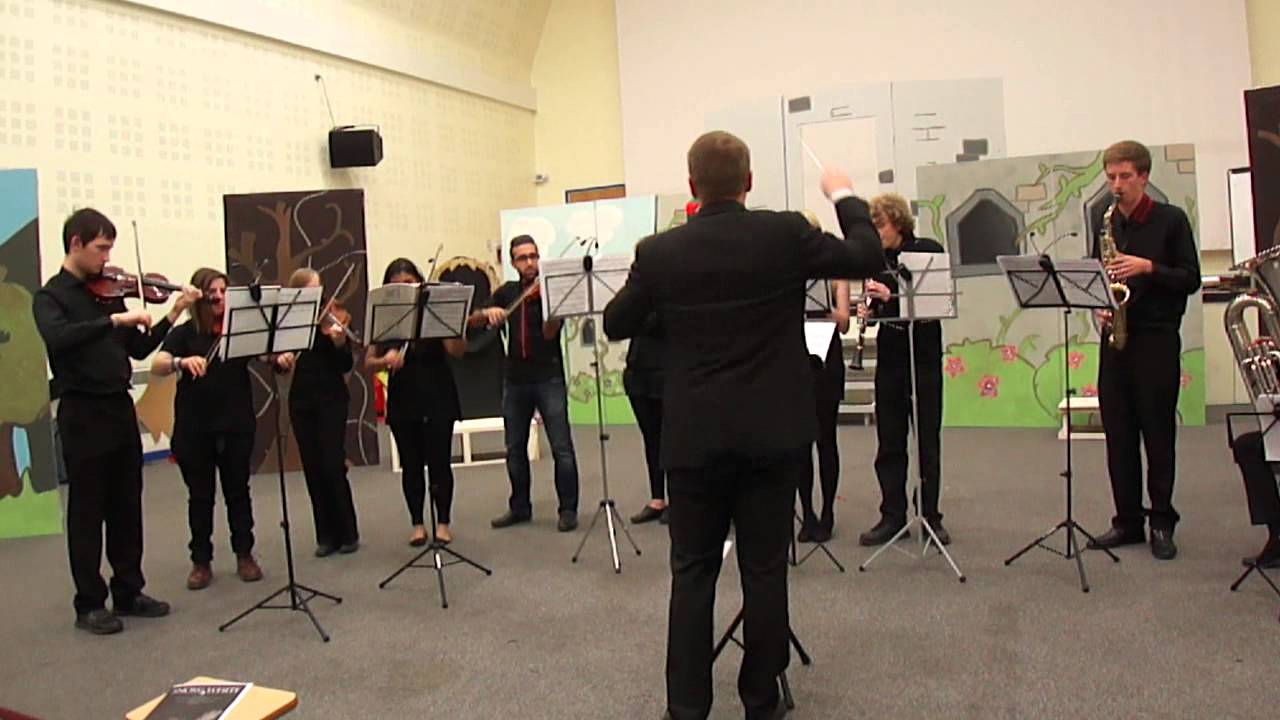 Herts SU Chamber Orchestra: David Gueeta Titanium (Orchestra Vesion)