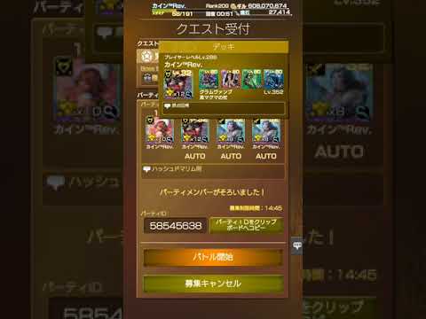 極ハシュマリム ソロチ2ターン自操作あり
