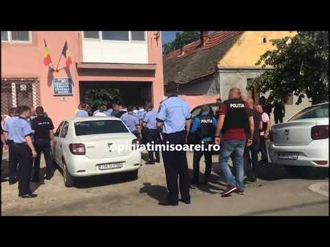 Mobilizare uriasa a fortelor de interventie pentru capturarea politistului ucis langa Timisoara