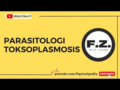 Mengenal Penyakit Toksoplasmosis : Infeksi Akibat Parasit Toxoplasma Gondii