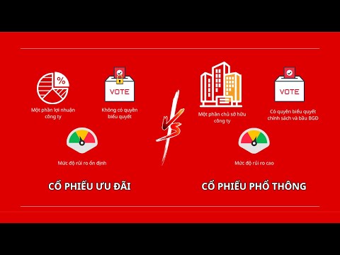 Video: Vốn hư cấu: khái niệm, loại, hình thức cơ bản