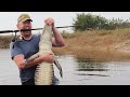 Fishing for alligators catch clean cook alligator