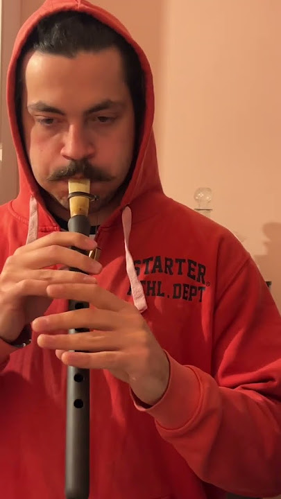 Practice the duduk #music #riff #practice #duduk #shorts