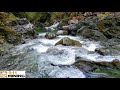 Gold Panning On A Mineral Claim!