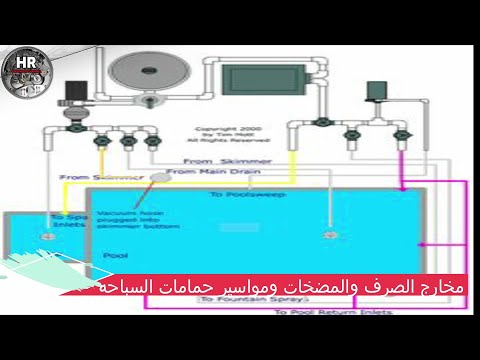 فيديو: لماذا تتشكل فاصوليا حمامات السباحة؟