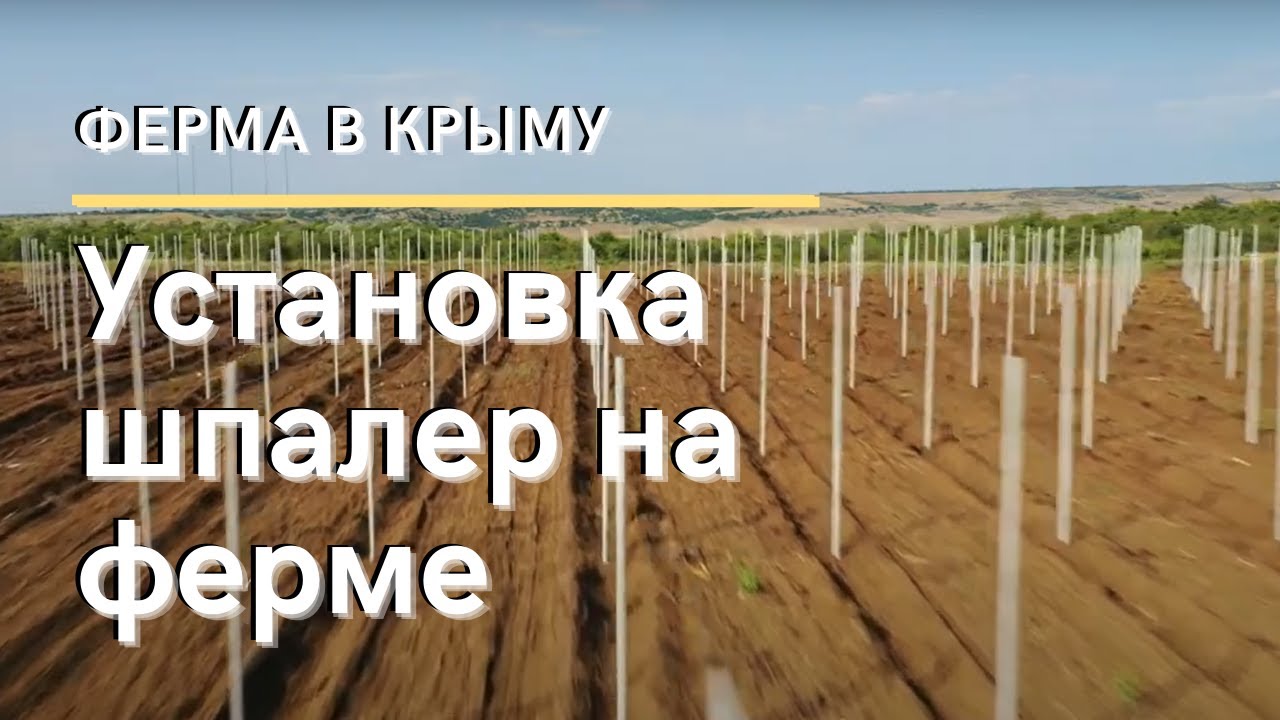 Ферма в Крыму: Установка шпалер на ферме - YouTube