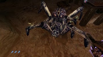 Arx Fatalis Complete Playthrough HD - Part 6 - Level 4 Exploration and Rebel Camp