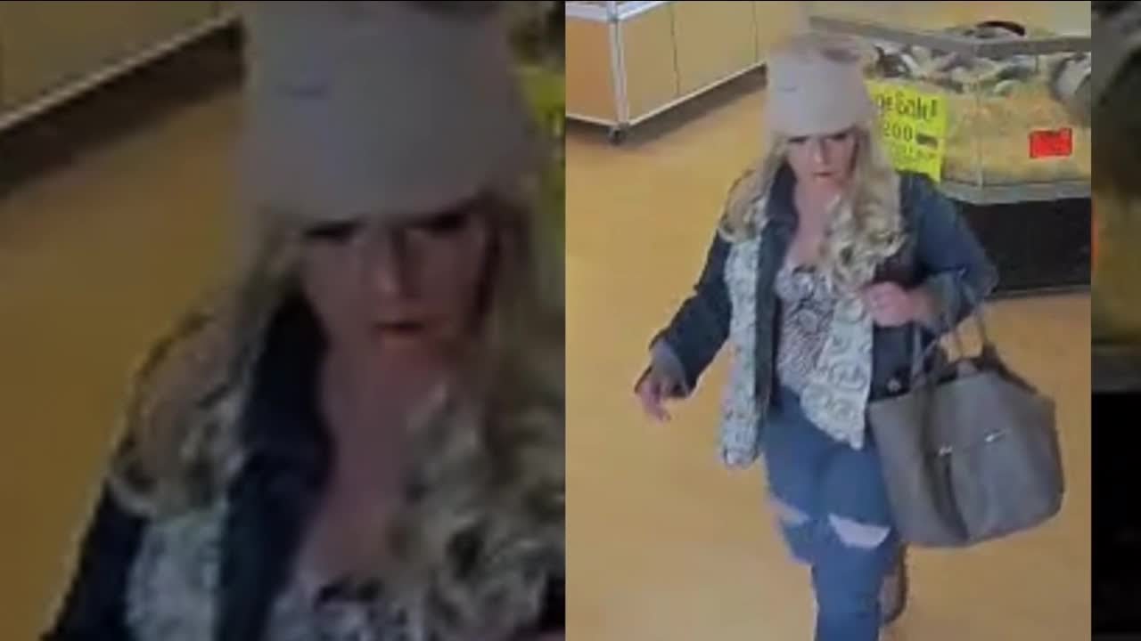 Police: Two puppies stolen from Centennial pet store