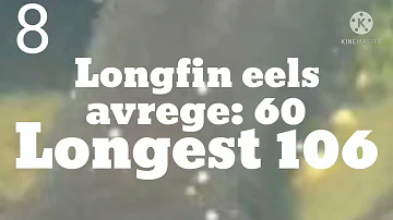 10 longest living creature in the world (speedrun)