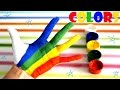 Finger Family Learning Colors for Children Video for Children * RainbowLearning