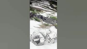 Ghost Realistic Stealth Gameplay｜Ghost Recon Breakpoint｜4K #gaming #gameplay