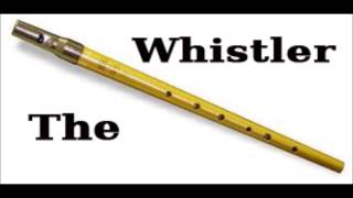 Candy Shop (50 Cent) - Tin Whistle Cover Resimi