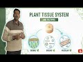 Plant Tissue System and it's Types 📚