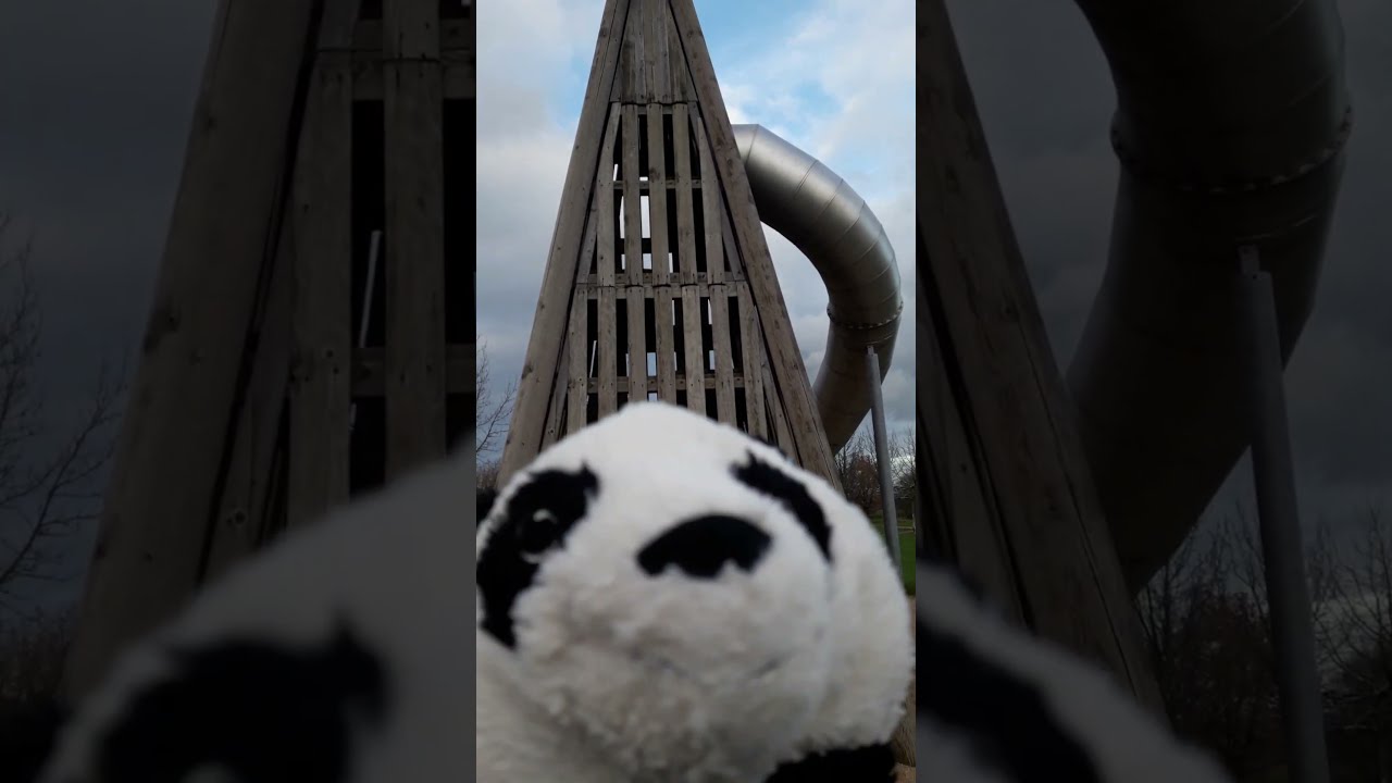 REALLY CUTEST ART with Panda❤️Transer Magazine Withinternet of Peace 