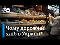 Рекордно дорогий хліб: чому зростають ціни на українську випічку? | DW Ukrainian