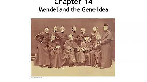 Chapter 14 Mendel and the Gene Idea