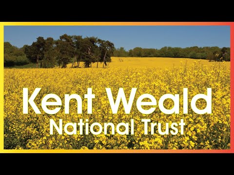 Stonegate to Kent Weald: The Rudyard Kipling Circular Walk | UK National Trust Hikes 🇬🇧