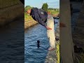 A Peaceful Evening Swimming in the Countryside & Children Playing in the Canal at Sunset
