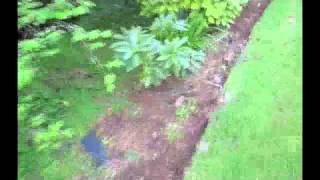 Garden of Eden, Garden of Hell 1