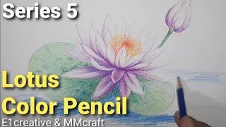 SERIES 5 Color Pencils : Lotus Flower Color Pencils Drawing Menggambar Bunga Teratai Pensil Warna