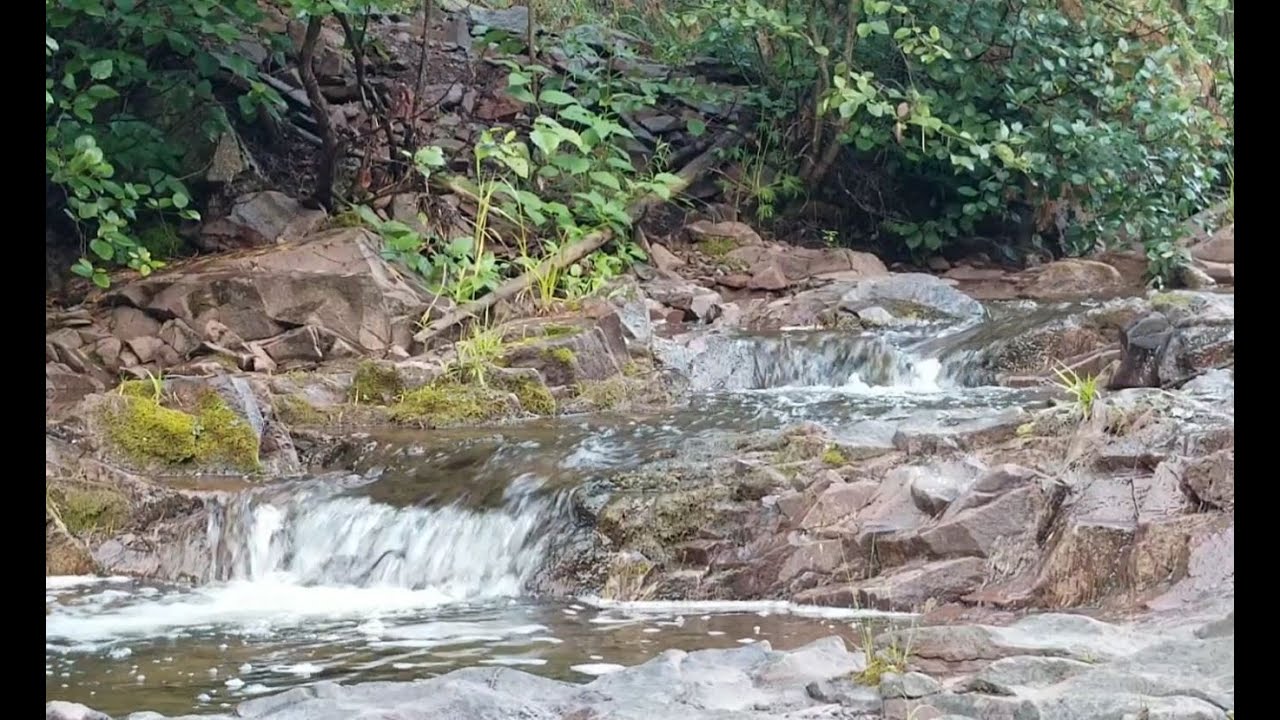 Amity Creek, Duluth, MN August 2023 YouTube