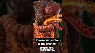 how digestive system operate in human body #easynutrition #science #education #facts