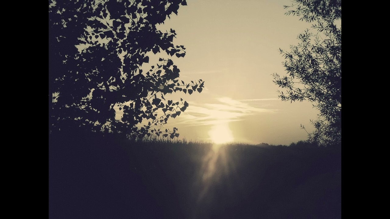 Arkhives Moth - Zen sequence no.1 (from upcoming EP - "Zen Triptych" )