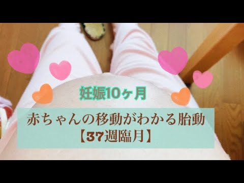 赤ちゃんの移動がわかる胎動【妊娠10ヶ月臨月/37w】