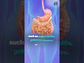 Recurring Stomach Discomfort? Know When to See a Doctor | ICI Multispeciality Hospital