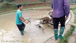 My family goes to rice farming