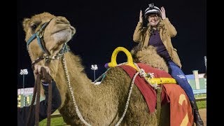 How hard can camel racing be, anyway? screenshot 5