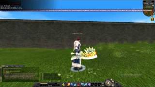selfmade glow test +10 for priv server