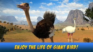 🐦👍Ostrich Bird Simulator 3D-Симулятор Cтрауса-By Wild Animals Clan-Android screenshot 5