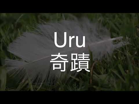奇蹟/Uru　歌ってみた　　　　ドラマ「コウノドリ」主題歌