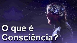 O que é Consciência?