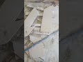 full body mat tiles bathroom #shorts #ytshorts #bajrangbali #tiles #homedecor #newyoutuber